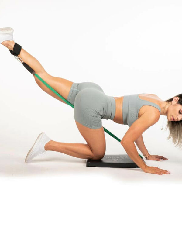 Lewin Fit Base